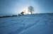 Winter-Landschaft_20