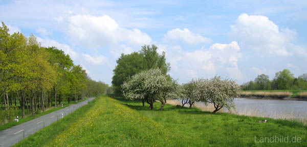 An der Oste_6439
