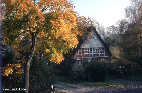 BENTWISCH_04