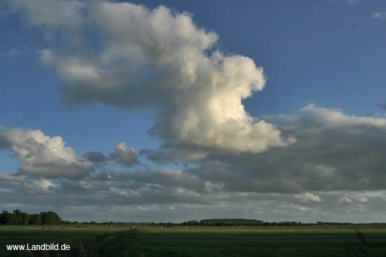 Hasenfleet_5859