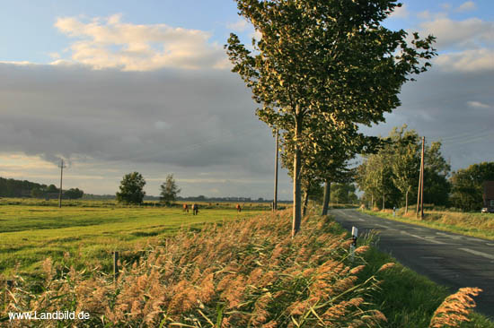 Hasenfleet_5864