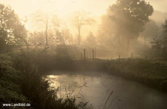 Niederstrich_06b