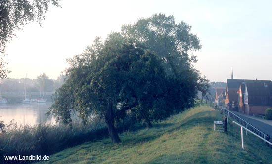 Oberndorf_31