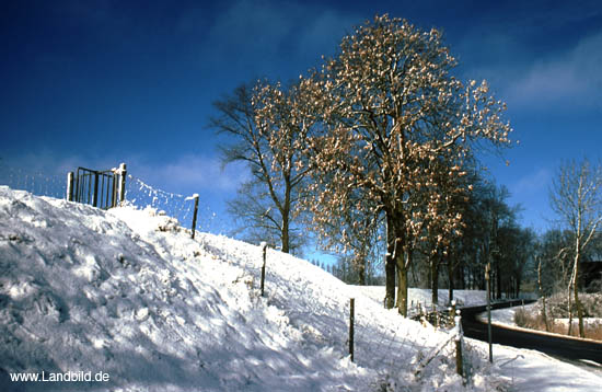 Oberndorf_46
