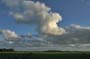 Hasenfleet_5859