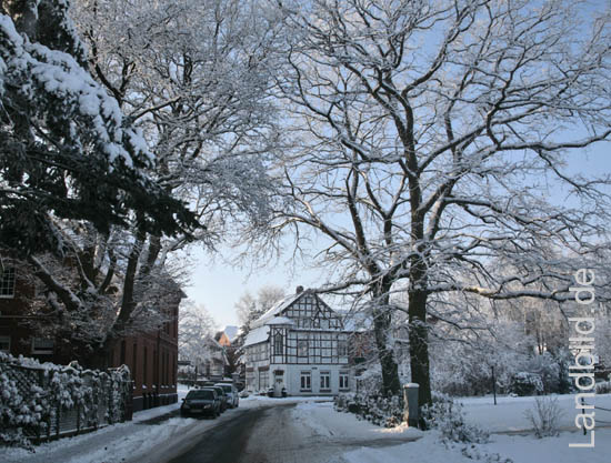 Winter-Faehrstr_8367