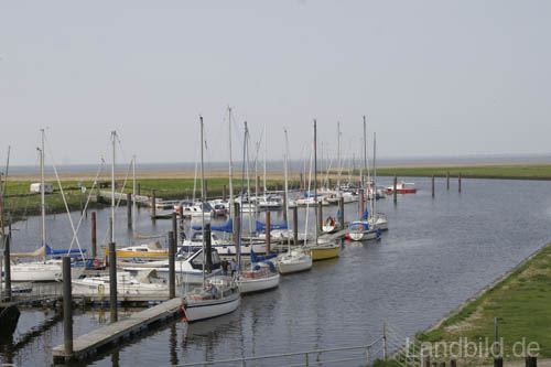 iMG_3586