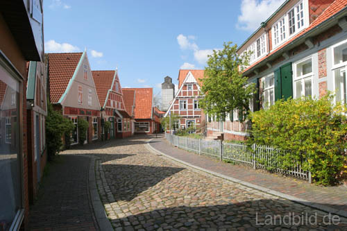 IMG_7421
