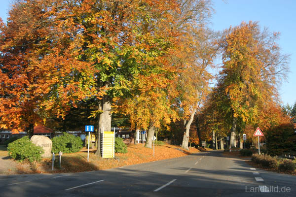 Herbststimmung_0476