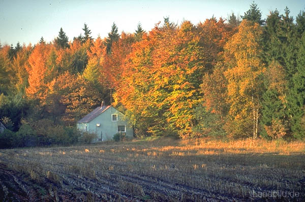 Herbststimmung_15