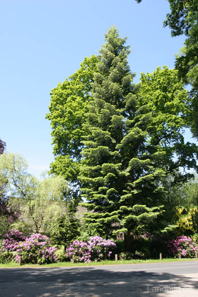 Kurpark_5101