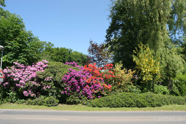 Kurpark_5106