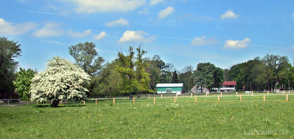 Landschaft_41b