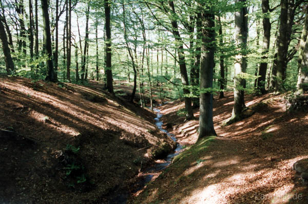 Quellental_21