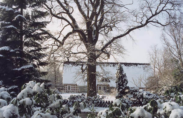 Winter-Wingst-27