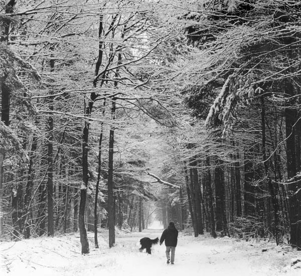 Winter-Wingst_28