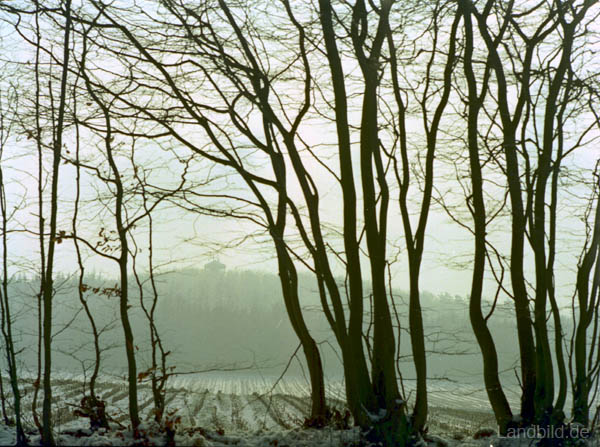 Winter-Wingst_33