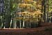 Herbststimmung_0491