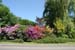 Kurpark_5106