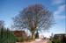 Naturdenkmal_18b