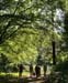 Waldwege_0889