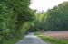 Waldwege_0912