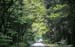 Waldwege_0918
