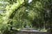 Waldwege_1795