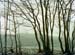 Winter-Wingst_33