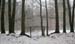 Wt-Juedischer Friedh_8637