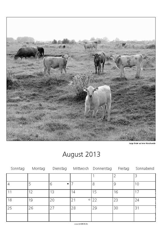 Niederelbe2013 08