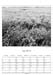 Niederelbe2013 07