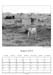 Niederelbe2013 08