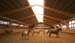 Reithalle_02a