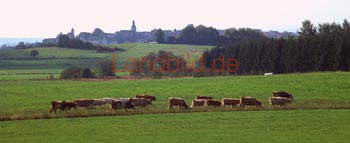 Herbstein_08
