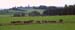 Herbstein_08