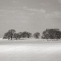 Winter-Auhof_01