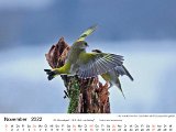 Vogelwelt-12.jpg