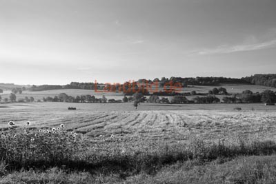 Landschaft_7824