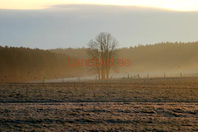 Vierzehnheiligen_2152