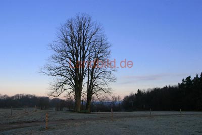 Vierzehnheiligen_2168