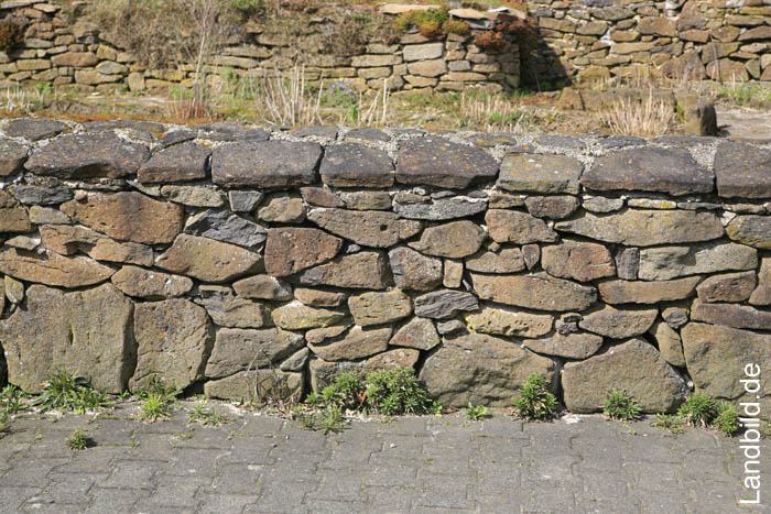 Basaltmauer_7946