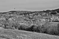 Hoherrodskopf1100371