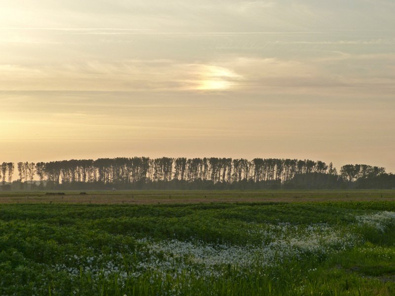 Osten-Altendorf_1140503