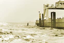 Wischhafen-Winter_10