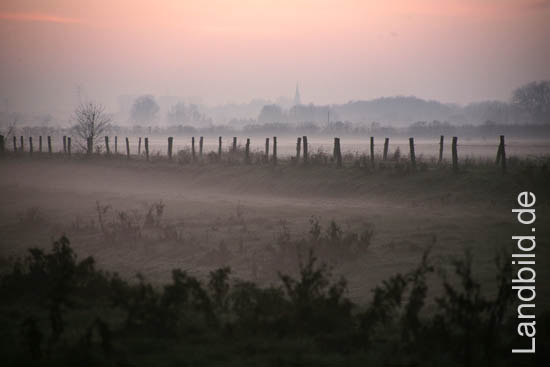2-Sommerabend_5617