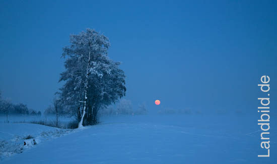 3-Winter-Mond_8440