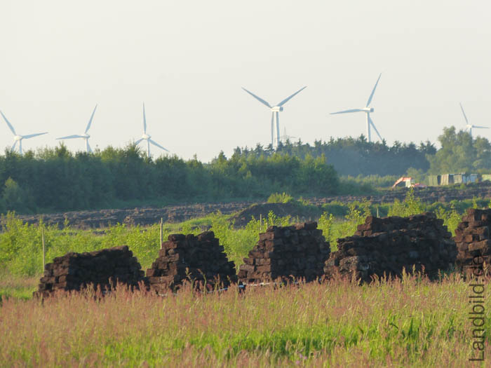 Altendorfer Moor1140067