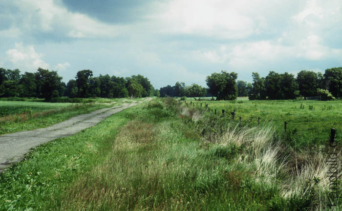 Neulander Moor_06
