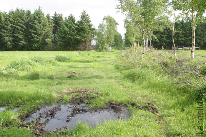 Oederquarter Moor_1894